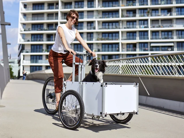 XYZ CARGO TRIKE - Dog Transport